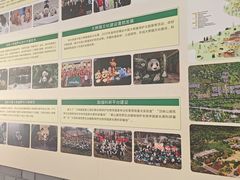 -都江堰中华大熊猫苑