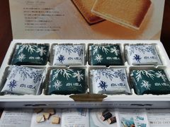 -关西国际机场直营免税店
