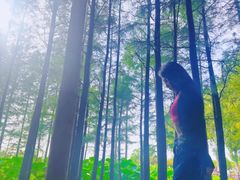 -云龙湖旅游景区