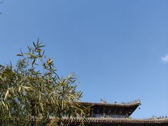 -洛阳白马寺