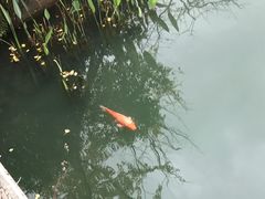 -国色天乡三期陆地乐园