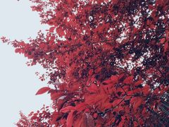 -贵阳市花溪国家城市湿地公园