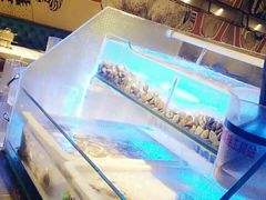 -星伦多自助料理·涮烤一体(嘉兴八佰伴店)