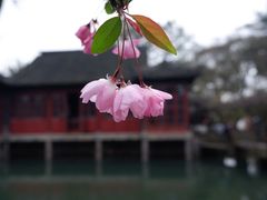 -拙政园