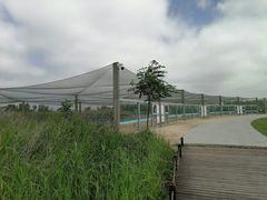 -盐城丹顶鹤湿地生态旅游区