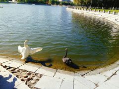 -长春世界雕塑园冰雪艺术天地