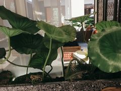 -新辣道鱼火锅(上地华联店)