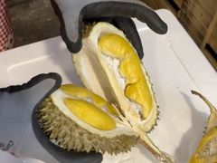 -油麻地果栏