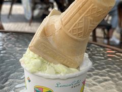 -柠檬车露(卖草地店)
