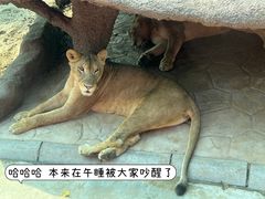 -北京野生动物园