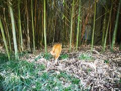 -苏州河梦清园环保主题公园