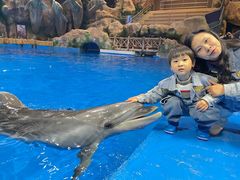 -芜湖新华联大白鲸海洋公园