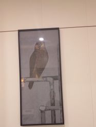 -AIST爱思特医疗美容医院