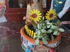 -青岛海景花园大酒店·白果树餐厅青岛菜