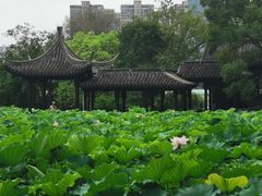 -高子水居