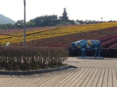 东部华侨城-东部华侨城