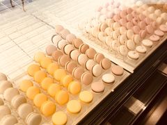 马卡龙-BLACKSWAN黑天鹅(环球店)