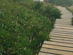 -白草畔自然风景区