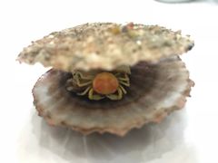 -宾朋海鲜美食特色餐厅·纯手工鲅鱼水饺(兴海路店)