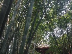 望江公园&nbsp;(9)-望江楼公园