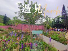 -深圳仙湖植物园