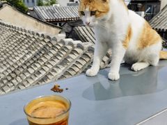 -前叁門