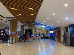 -博纳国际影城(温州5050IMAX店)