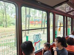 -合肥滨湖国家森林公园