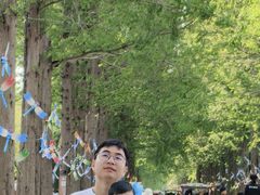 -黄海国家森林公园