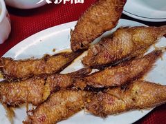 -蛇口康乐快餐鱼仔档(翠苑小区店)