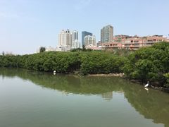 -白鹭洲公园