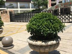 -福州市仓山区第七中心小学