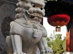 -迎泽公园