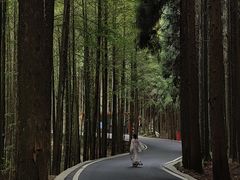 -山王坪喀斯特国家生态公园