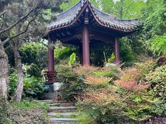 -武汉园博园(武汉自然博物馆)