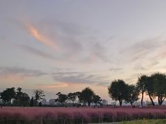 -汉长安城未央宫国家考古遗址公园