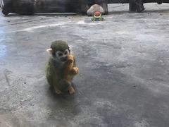 -西安秦岭野生动物园