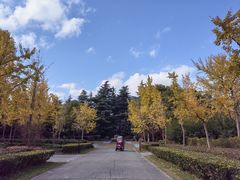 -黄兴公园