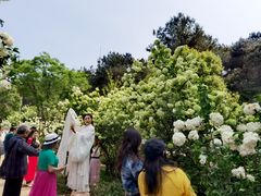 -铁山坪森林公园