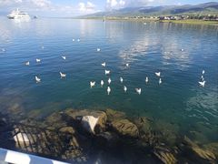 -青海湖国家重点风景名胜区