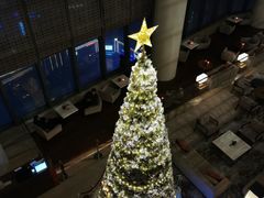 -镇江苏宁万豪酒店-苏筵中餐厅