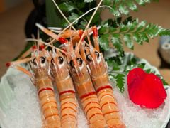 -京旬海鲜放题·铁板烧自助餐厅