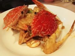 -Red Lobster