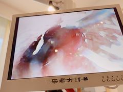 -乐老大耳道·可视采耳·禅洗(柏林爱乐直营店)
