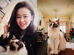 -猫色咖啡·猫咖