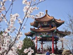 -白水寺森林公园