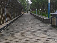 -长白岛森林公园