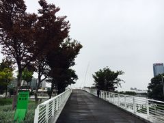 -映月湖中央公园