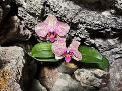 -南通洲际绿博园