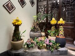 -鸢飞潍坊菜馆(鸢飞大酒店)